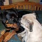 Jackie Spiers - Facebook