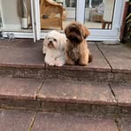 Jackie Spiers - Facebook