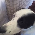 Jackie Spoonet - @jackiespoonet - Instagram