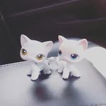 Jackie Staggs - @jackie.staggs.71 - Instagram