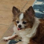 Jackie Staggs - @jackiestaggs1948 - Instagram