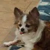 jackiestaggs445 - @jackiestaggs445 - TikTok