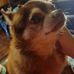 Jackie Sandifer - Facebook