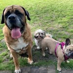 Jackie Stapleton - @stapleton8683 - Instagram