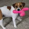 jackiestarkey6 - @jackie.starkey - TikTok