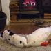 Jackie Starling - Facebook