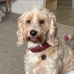 Jackie Starling - @jackie_b_starling - Instagram