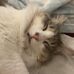 Jackie Steelman Alexander - Facebook