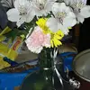 Jackie Steelman - @jackie.steelman - TikTok