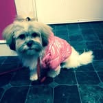 Jackie Still - @jackiestill59 - Instagram