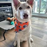 Jackie Stinson - @jackiestinson2112 - Instagram