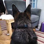 Jackie Stott - @jackstott2706 - Instagram