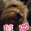 Jackie Suarez - @jackiesuarez1 - TikTok
