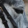 Jackie Sweeney - @jackie.sweeney - TikTok