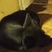 Jackie Swenson - Facebook