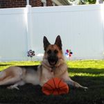 Jackie szymanski - @szymanski1325 - Instagram