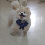 Jackie  Tam - @jackie.tam.507 - Instagram