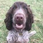 Jackie Tanner - @jackie.tanner.393 - Instagram
