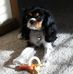 Jackie Teague - Facebook
