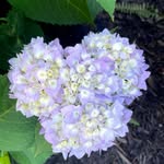Jackie Tobin - @jatobin59 - Instagram