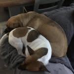 Jackie Tobin - @tobin1449 - Instagram