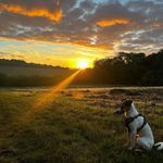 JT - @jackie_tomlins - Instagram