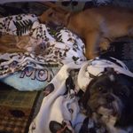Jackie Trent - @jackietrent12 - Instagram