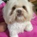 Jackie Tyree - Facebook