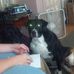 Jackie Tyree - Facebook
