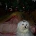 Jaci Vanderpool - Facebook