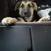 Jackie Vickers - @jackie.vickers4 - TikTok
