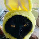 Jackie Mitchell Waldron - @disney2_mom - Instagram