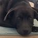 Jackie Walker - Facebook