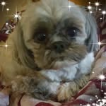 Jackie Waller - @jackiewaller741 - Instagram