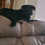 jackie~waller - @jackiewaller71 - Instagram