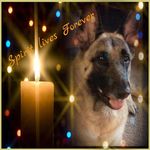 Jackie Walraven Friend - @jackie.friend.5 - Instagram