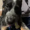 Jackson - @jackson.walraven - TikTok