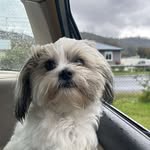 Jackie Walter - @jackie.walter.7 - Instagram