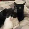 jackie&walter - @jackieandwalter - TikTok