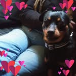 Jackie Watts - @jackiewatts9172 - Instagram