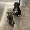 Jake Wayman - @jake.wayman7 - TikTok