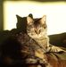 Jackie Weldon - Facebook