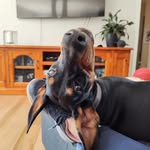 Jackie Wesley - @wesjack1 - Instagram