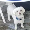 Jackie Wesley - @jackie.wesley44 - TikTok