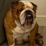 Jackie Hopkins Whitmore - @jackiewhity - Instagram