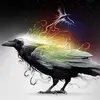 Jackie Wilder - @jackie.wilder - TikTok
