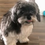 Jackie Wilkins - @jackiewilkins60 - Instagram