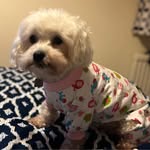 Jackie Wilkins - @jackiewilkins1965 - Instagram