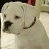 Jackie Wilkins - @jackie.wilkins50 - TikTok