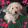 Jackie Wilkinson Jacobs - @jackiewilkinsonja - TikTok